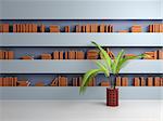 3d rendered interior composition with empty books on shelves.