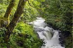 A waterfall on the White Salmon River, Washington