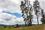 An old wooden barn in rural Washington