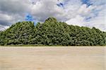 Brown Gravel Parking Area By A Plethora Of Greenery