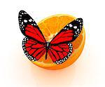 Red butterflys on a half oranges on a white background