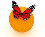 Red butterflys on a oranges on a white background