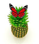 Red butterflys on a pineapple on a white background