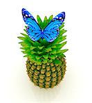 Blue butterflys on a pineapple on a white background