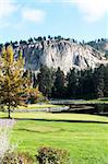 Kelowna Golf and Country Club golfing green