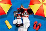 dog lying on towel under shade of umbrella relaxing and chilling out in the summer vacation taking a selfie