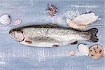 Fresh trout with various seashell and sea salt crystals on blue wooden background, top view. Luxurious mediterranean seafood eating background.