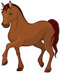 Illustration of purebred chestnut horse