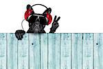 dj dog listening to music behind an empty and blank wood wall with victory and peace fingers