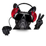 cool dj dog listening to music behind a white and blank banner or placard with peace  or victory fingers