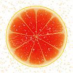 Abstract background with red citrus fruit, grapefruit slice.