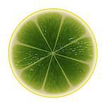 Green slice lime isolated on white background.
