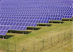 detail of blue solar panel plant, top view