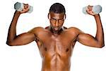 Determined fit shirtless young man lifting dumbbells over white background