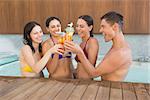 Portrait of cheerful young people toasting drinks in the swimming pool