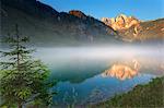 Austria, Osterreich. Upper Austria, Oberosterreich. Gosaub lake. Lake and the Dachstein mountain.