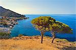 Italy, Italia. Tuscany, Toscana Livorno district. Tuscan Archipelago National Park. Elba island. Pomonte