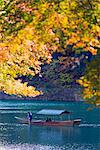 Asia, Japan, Honshu, Kyoto, Arashiyama, autumn colours on Kiyotaki river