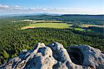 Europe, Poland, Silesia, Gory Stolowe National Park