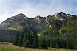 Europe, Poland, Carpathian Mountains, Zakopane National Park, Zakopane