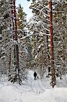 Man cross-country skiing with dog