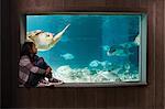 Girl watching sea turtle in aquarium
