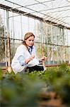 Woman inspecting plants in nursery