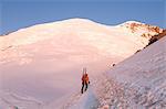 Male climber carrying skis up mountain, Emmons Glacier, Mount Rainier National Park, Washington, USA