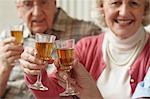 Senior adults having a toast