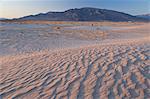 Sand dunes in Death Valley National Park, California, USA