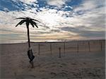 Beach at Coney Island in winter with boy climbing a plastic palm tree at closed amusement park, New York City, New York, USA