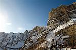 Trees in snowy mountain landscape