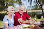Older couple sitting at picnic table