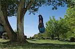 Boy playing on tree swing in backyard