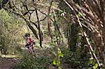 Mountain bikers riding through forest