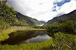 Still lake in rural landscape