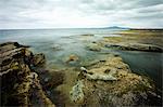 Moss-covered rocks on coastline