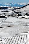 Trees growing on snowy rural hillside