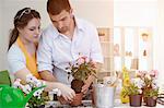 Couple de-potting plants together