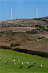 Windmills overlooking rural landscape
