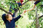 Children picking fruit in tree