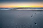 Footprints on sandy beach at sunrise