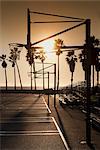 Silhouette of basketball hoop on court