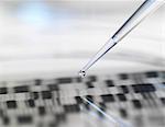 Pipette and petri dish with autoradiogram