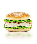 Delicious burger with beef, tomato, cheese and lettuce on white background with clipping path.