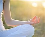 Young Beautiful Woman Practices Yoga on the Sunny Meadow. Active Lifestyle