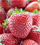 Close up of Fresh Sweet Strawberries. Summer Background