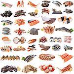 seafood, fish and shellfish in front of white background