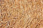 Golden hay background, bale, straw, haystack, yellow