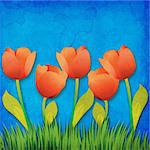 Grunge paper background with tulips flowers.